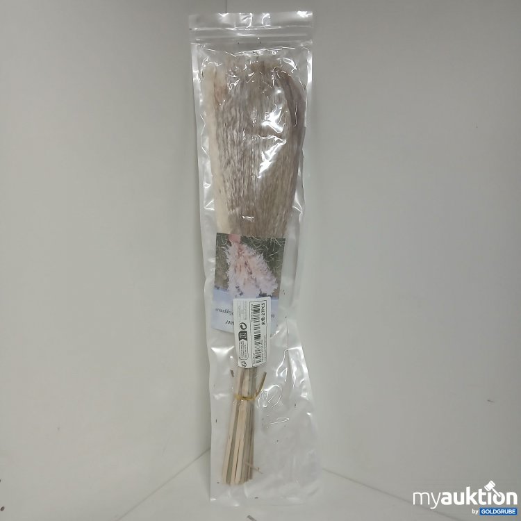 Artikel Nr. 877740 Artikel Nr. 877740: Pampasgras Getrocknet