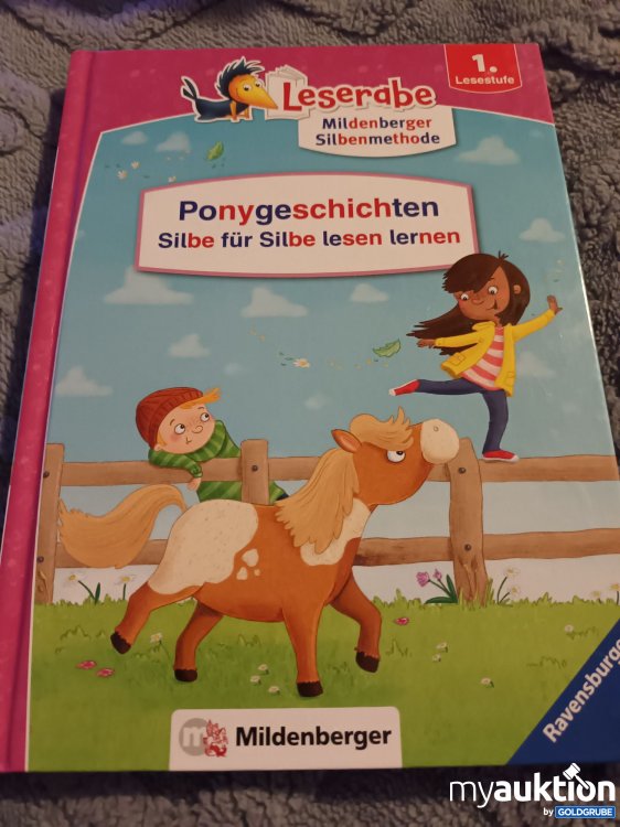 Artikel Nr. 907741: Leserabe, Ponygeschichten