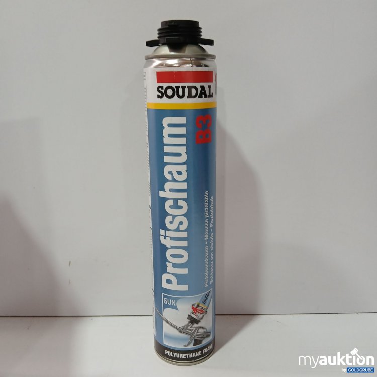Artikel Nr. 516747 Artikel Nr. 516747: Soudal Profischaum B3 750ml