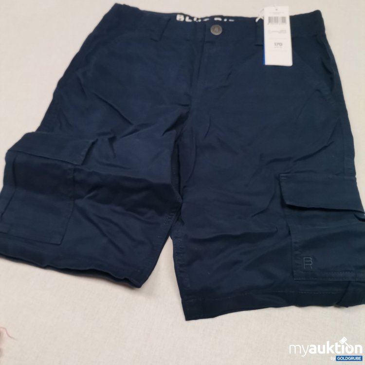Artikel Nr. 742747 Artikel Nr. 742747: Blueridge Shorts