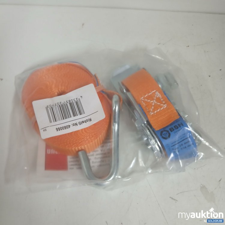 Artikel Nr. 875747: Richel Spanngurt 4050055