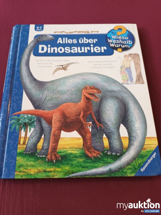 Artikel Nr. 999748 Artikel Nr. 999748: Großes Wieso, Weshalb, Warum Buch