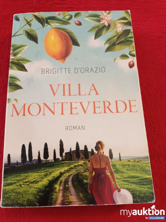 Artikel Nr. 940751 Artikel Nr. 940751: Villa Monteverde