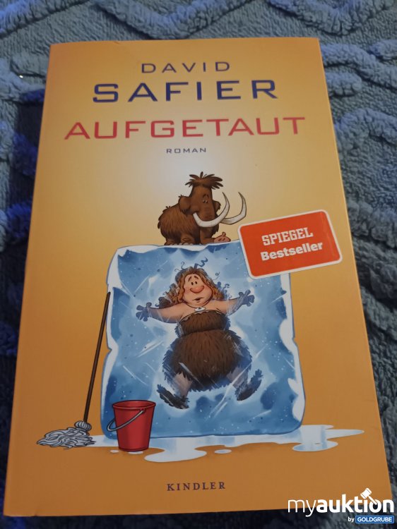 Artikel Nr. 907753: Aufgetaut