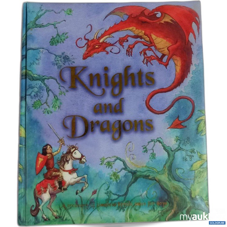 Artikel Nr. 920756 Artikel Nr. 920756: igloobooks Knights and Dragons Buch Hardcover