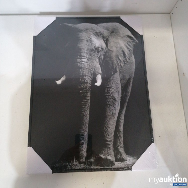 Artikel Nr. 425757: Wandbild mit Elephant 