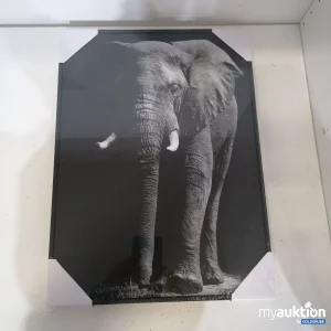 Auktion Wandbild mit Elephant 