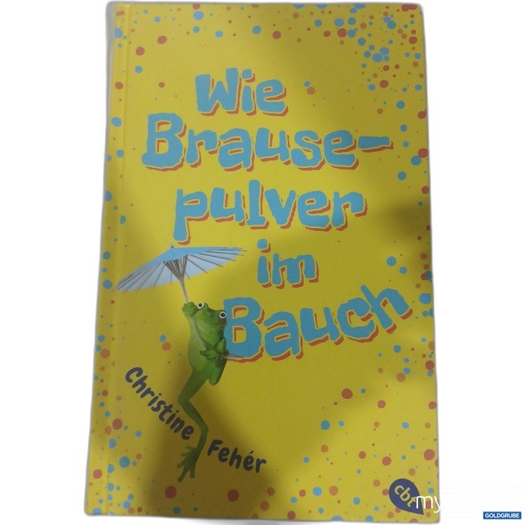 Artikel Nr. 981760 Artikel Nr. 981760: cbt Wie Brausepulver im Bauch Christine Fehér