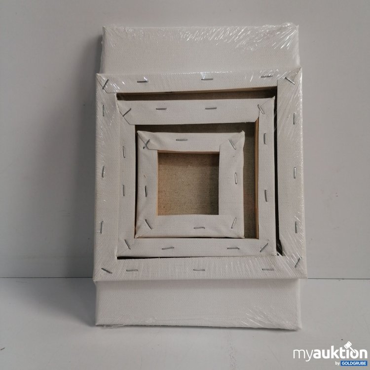 Artikel Nr. 437763: Leinwände zum Bemalen 6 Stk. (Größte 30x20 cm) 