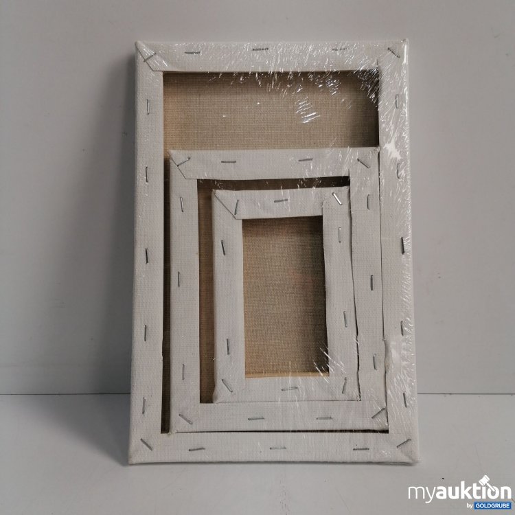 Artikel Nr. 437763: Leinwände zum Bemalen 6 Stk. (Größte 30x20 cm) 