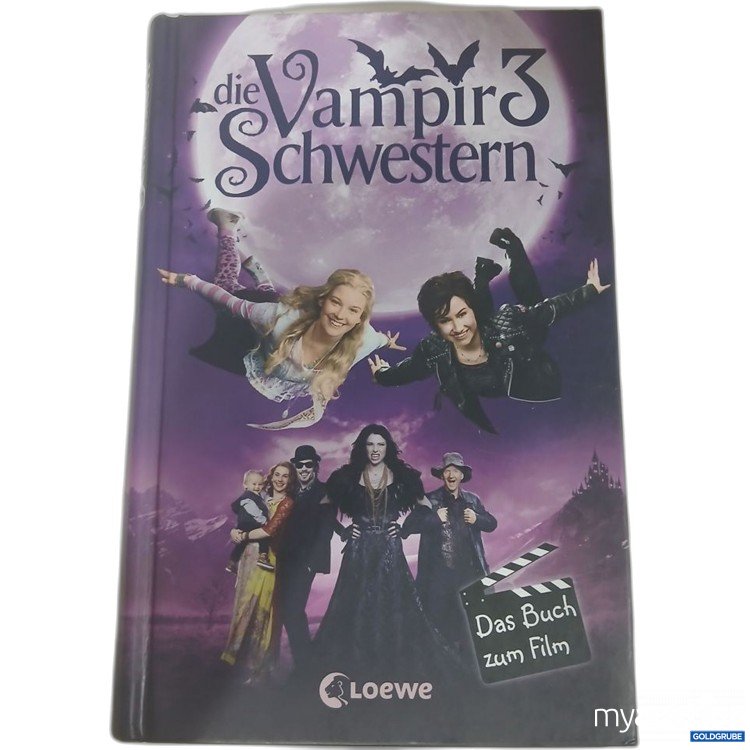 Artikel Nr. 981765 Artikel Nr. 981765: die Vampirschwestern 3 Das Buch zum Film