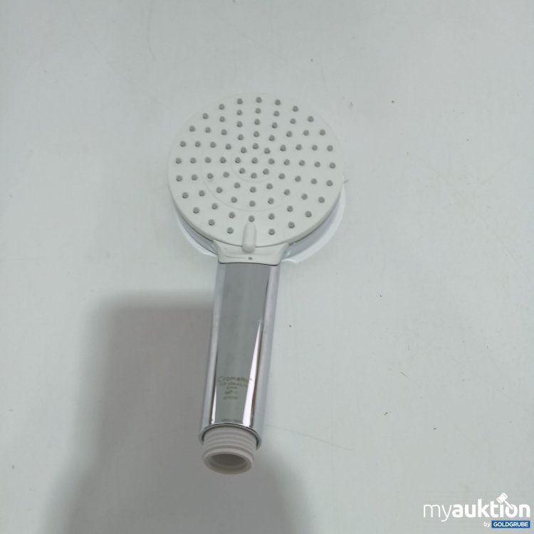 Artikel Nr. 839766 Artikel Nr. 839766: Hansgrohe Duschkopf