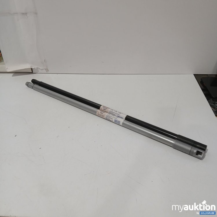 Artikel Nr. 958766: Profissimo Teleskopstiel 