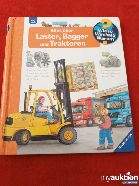 Artikel Nr. 907770: Großes Wieso, Weshalb, Warum Buch