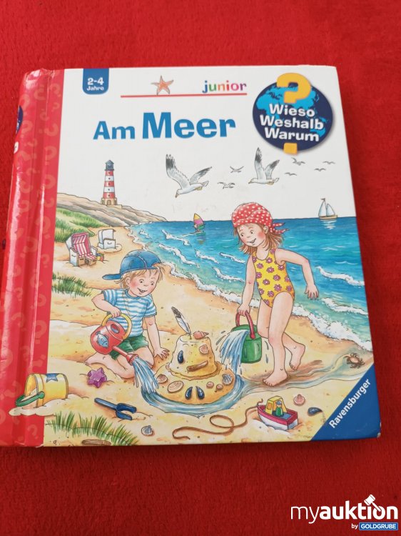 Artikel Nr. 907772: Kleines Wieso, Weshalb, Warum Buch