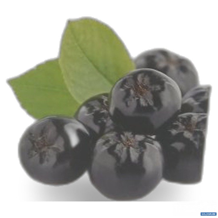 Artikel Nr. 465775: fitrabbit Bio Aronia Qi 3L