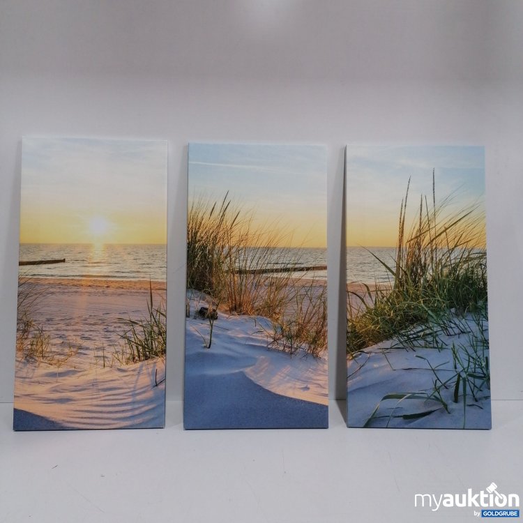 Artikel Nr. 832776: 3x Foto Bilder zum Aufhängen 70x34.5 cm