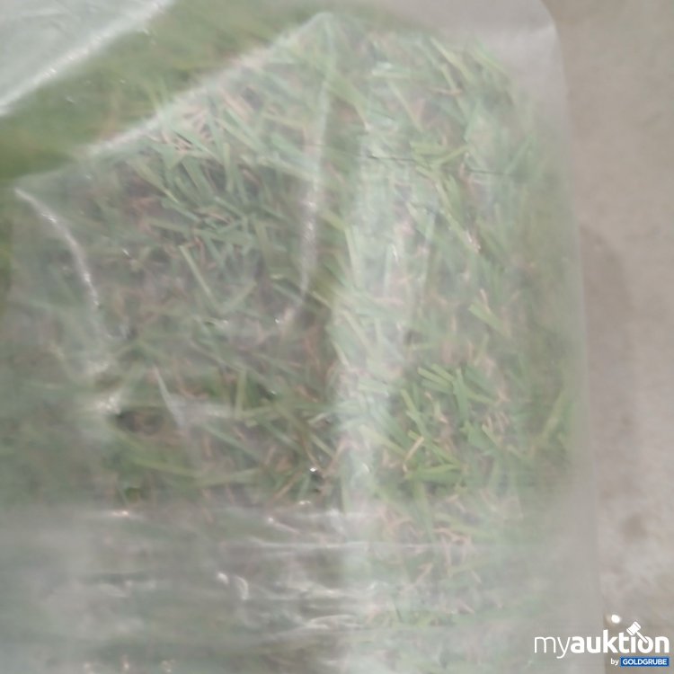 Artikel Nr. 523784: Paco Lucy 14 Rasenteppich 