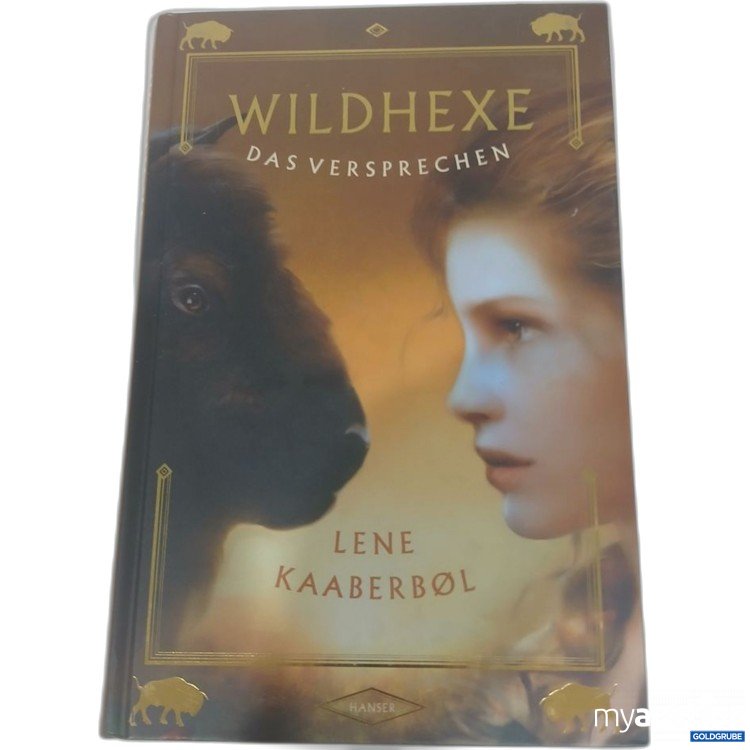 Artikel Nr. 981784 Artikel Nr. 981784: HANSER Wildhexe Das Versprechen Lene Kaaberbøl