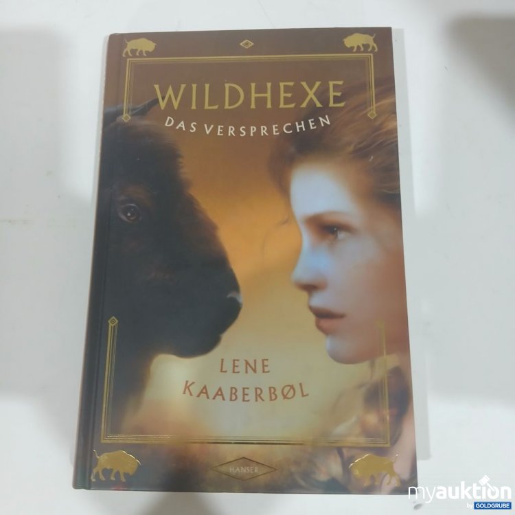 Artikel Nr. 981784 Artikel Nr. 981784: HANSER Wildhexe Das Versprechen Lene Kaaberbøl