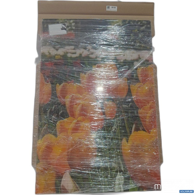Artikel Nr. 970785: Diverses Tulpen Bild 75x50cm