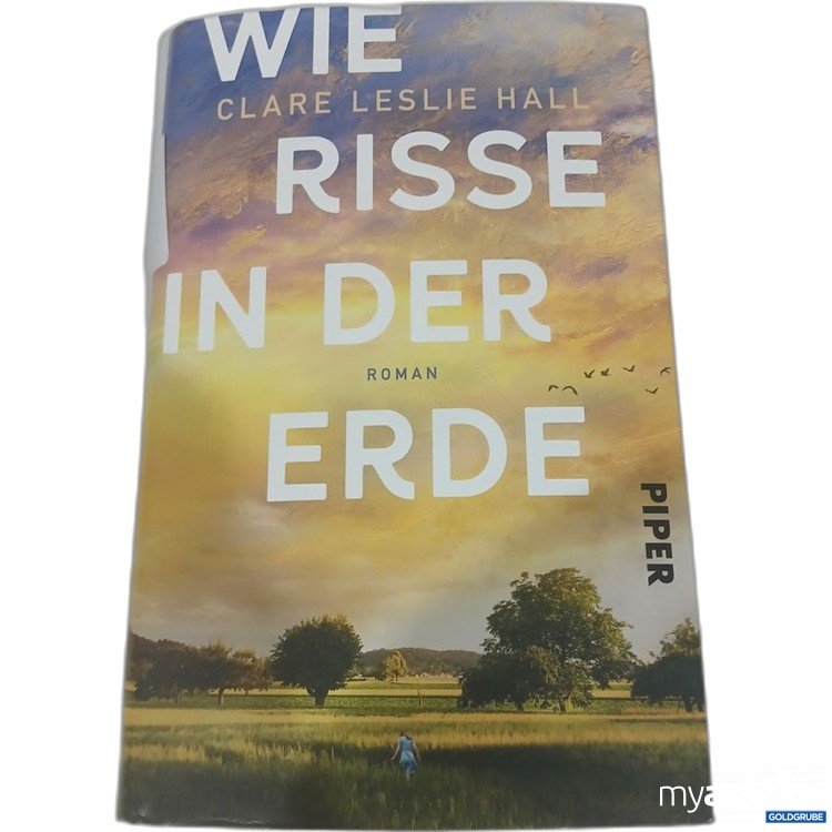 Artikel Nr. 981787 Artikel Nr. 981787: Clare Leslie Hall Wie Risse in der Erde Roman