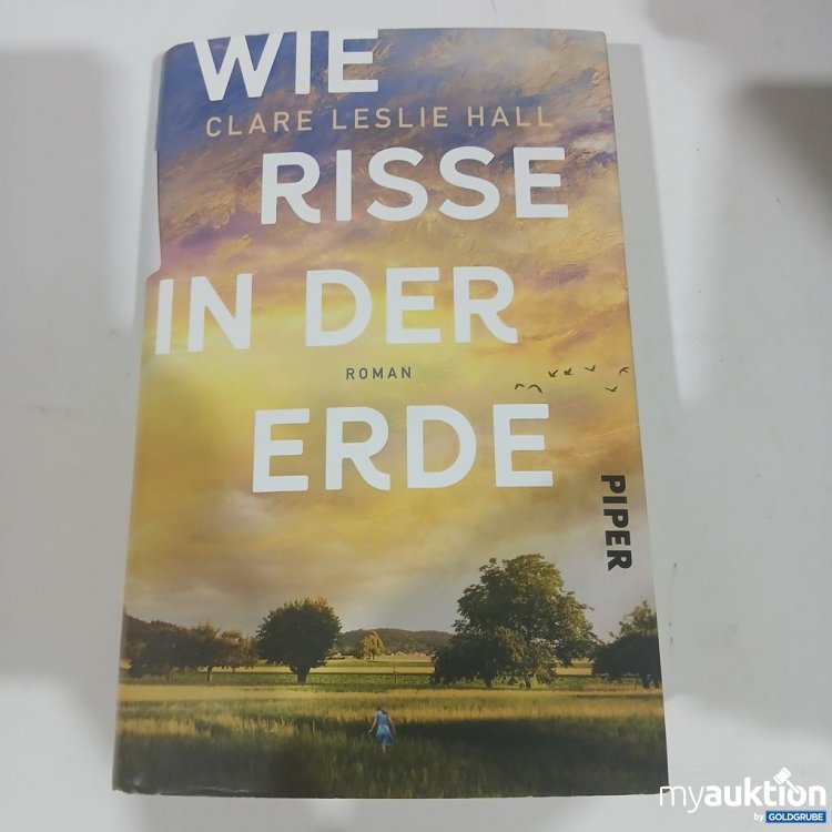 Artikel Nr. 981787 Artikel Nr. 981787: Clare Leslie Hall Wie Risse in der Erde Roman