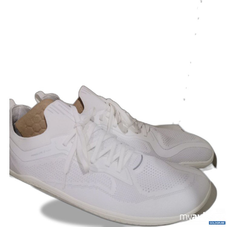 Artikel Nr. 951788: Barefoot Primus lite knit 