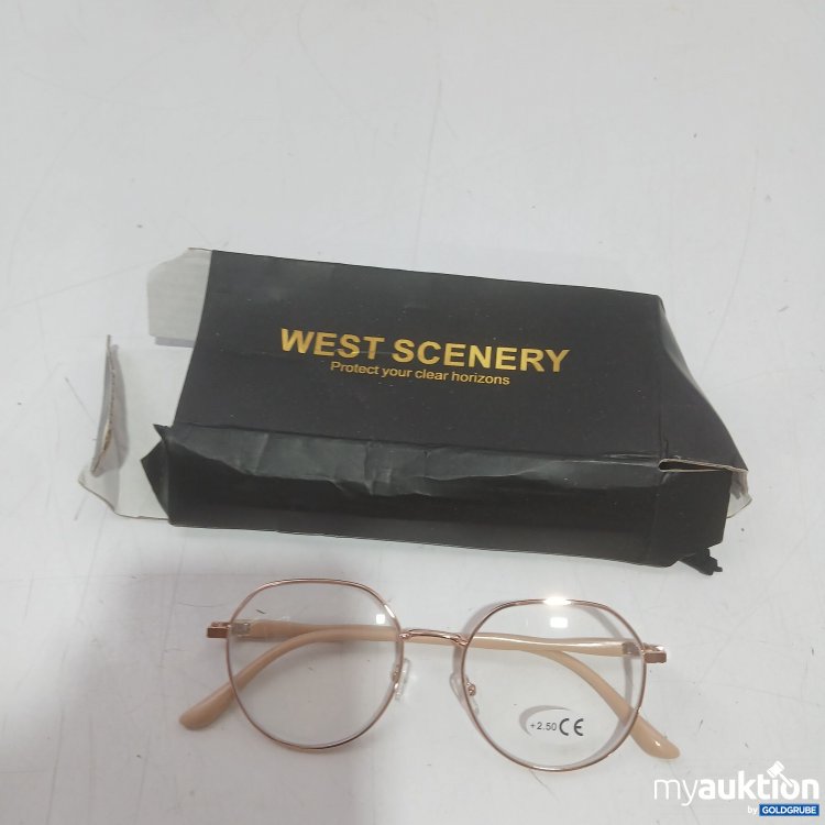 Artikel Nr. 993790 Artikel Nr. 993790: West scenery Brille +2.50