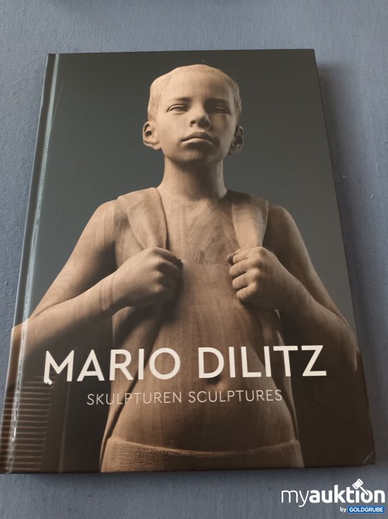 Artikel Nr. 901793: Mario Dilitz, SKULPTUREN 