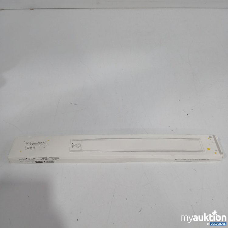 Artikel Nr. 899794 Artikel Nr. 899794: Intelligen Light L1007