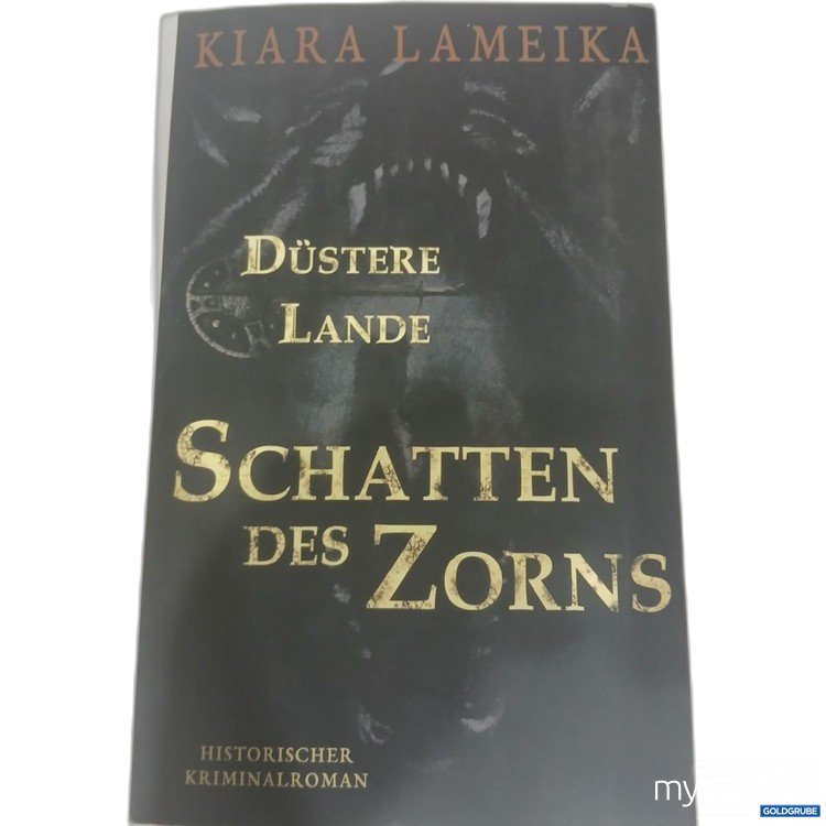 Artikel Nr. 981795 Artikel Nr. 981795: Klara Lameika Düstere Lande Schatten des Zorns