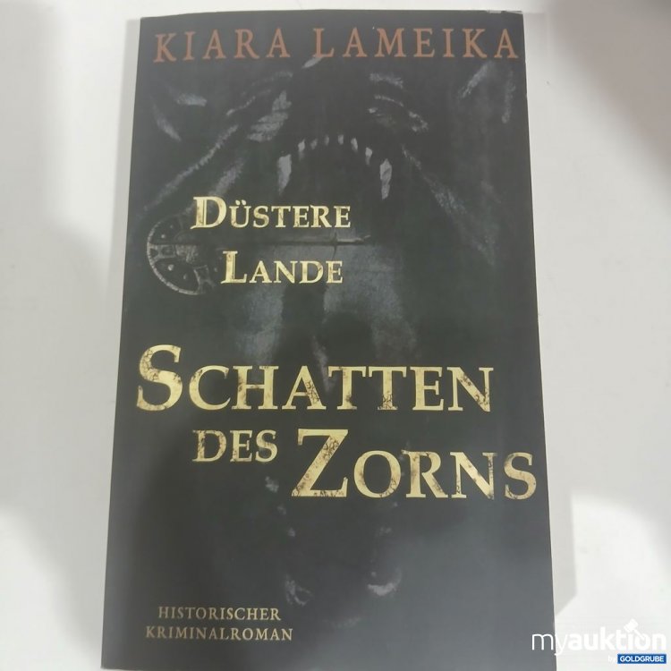 Artikel Nr. 981795 Artikel Nr. 981795: Klara Lameika Düstere Lande Schatten des Zorns