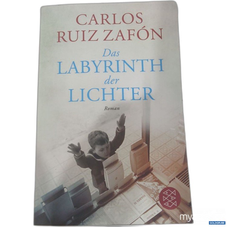 Artikel Nr. 981796 Artikel Nr. 981796: Carlos Ruiz Zafón Das Labyrinth der Lichter Roman