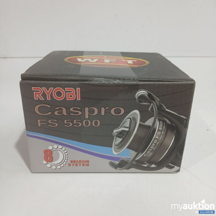 Artikel Nr. 899798: Ryobi Caspro FS5500 