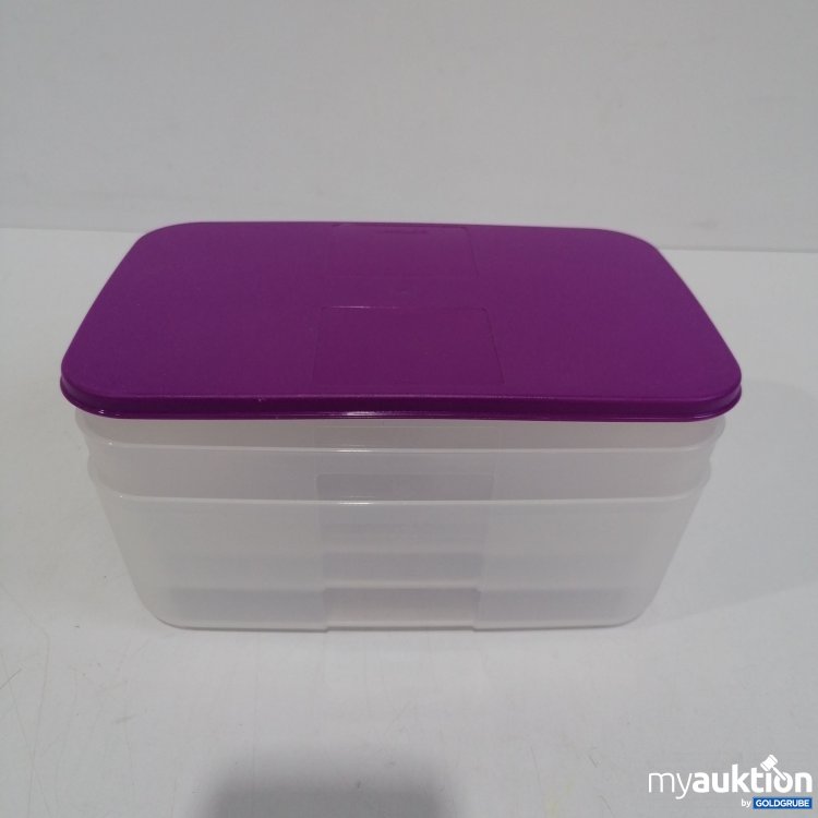 Artikel Nr. 859800 Artikel Nr. 859800: Tupperware 3 Box und 1 Deckel