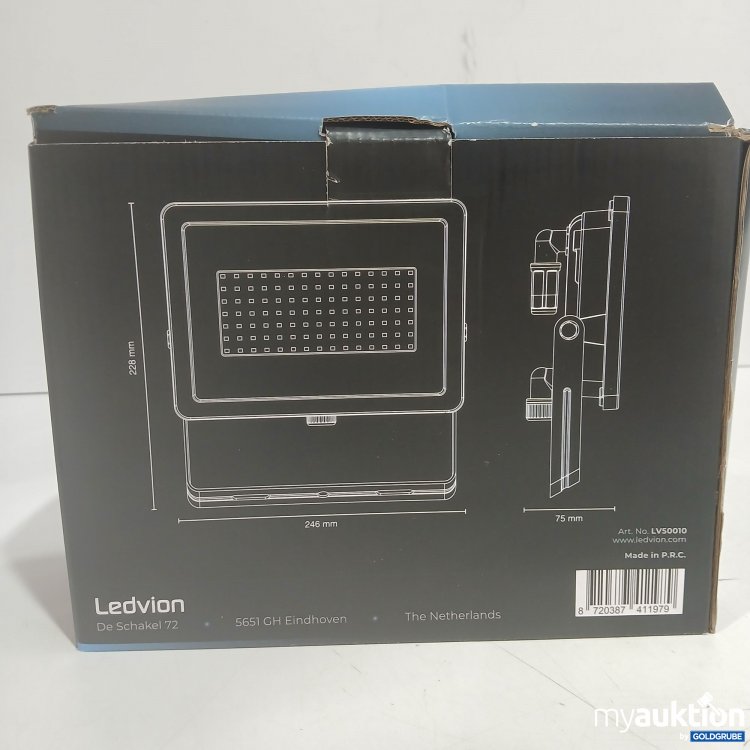 Artikel Nr. 998801: Ledvion LED Floodlight 100W 