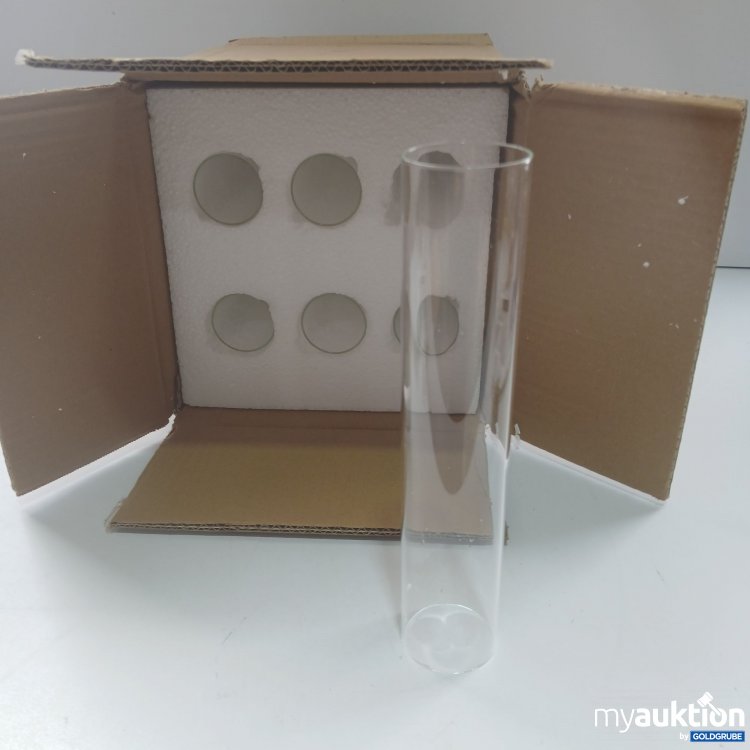 Artikel Nr. 865803: Glasröhren 6 Stück ca.24,5x5cm