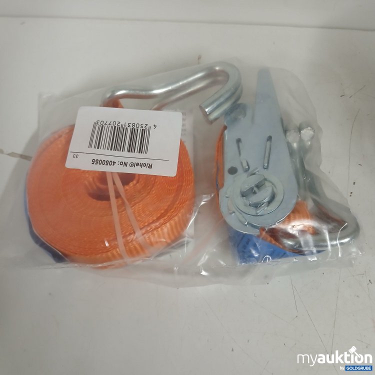 Artikel Nr. 875804: Richel Spanngurt 4050055