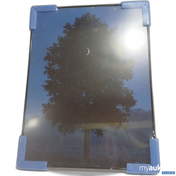 Artikel Nr. 968804: Juniqe Bild eingerahmt 45x60cm PO K1 