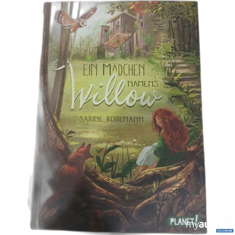 Artikel Nr. 981805 Artikel Nr. 981805: Planet! Ein Mädchen namens Willow Sabine Bohlmann