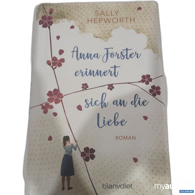Artikel Nr. 981806 Artikel Nr. 981806: Sally Hepworth Anna Forster erinnert sich an die Liebe Roman