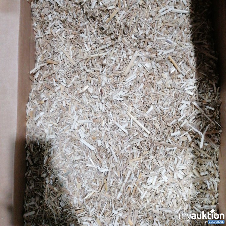 Artikel Nr. 890819: Energie Pflanzen Elefantengras/Chinaschilf 