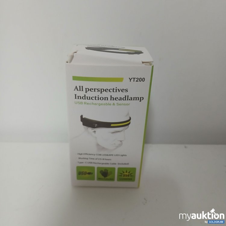 Artikel Nr. 917819 Artikel Nr. 917819: All perspectives Induction Headlamp YT200