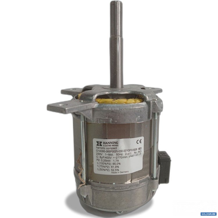 Artikel Nr. 991821: Hanning Hamotic Wechselstrommotor Model O1A096 230 Volt