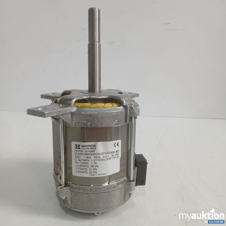 Artikel Nr. 991821: Hanning Hamotic Wechselstrommotor Model O1A096 230 Volt