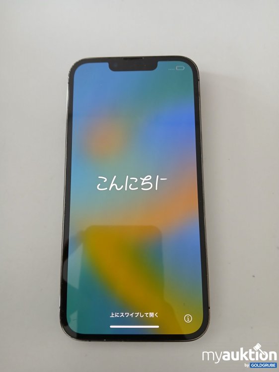 Artikel Nr. 376823 Artikel Nr. 376823: Apple iPhone 13 Pro