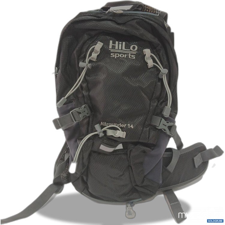 Artikel Nr. 967823: Hilo Sports Allrounder 14 ca  43x28cm
