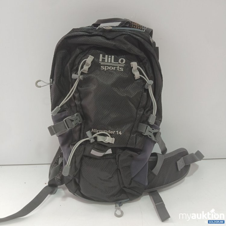 Artikel Nr. 967823: Hilo Sports Allrounder 14 ca  43x28cm