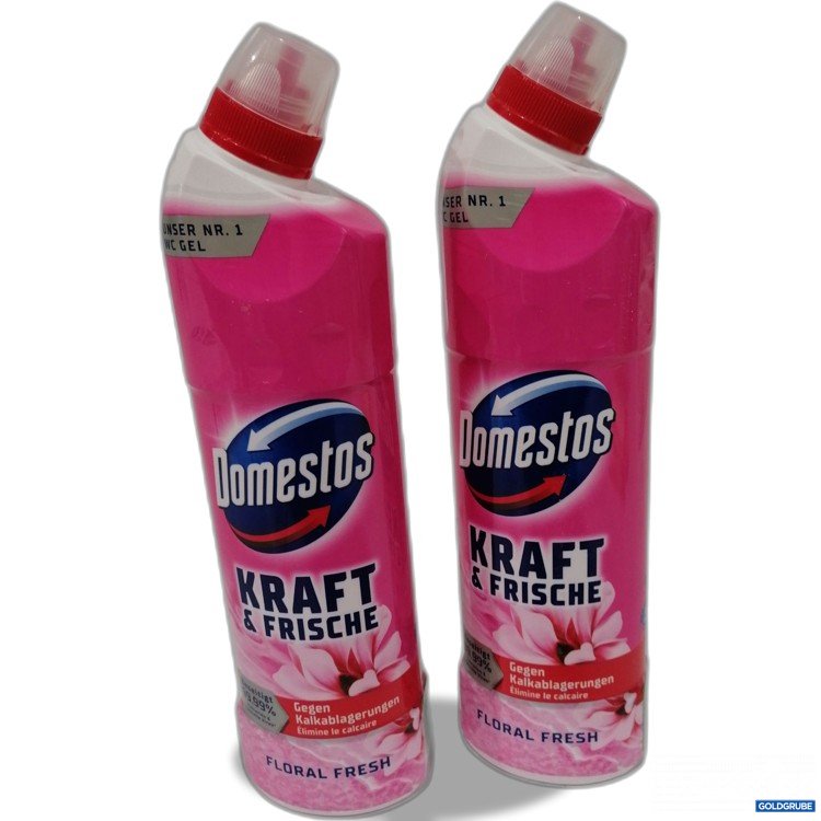 Artikel Nr. 886824: Domestos Kraft & Frische WC Gel 2x750ml